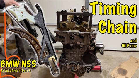 Add to Cart. . Bmw n55 timing chain replacement cost